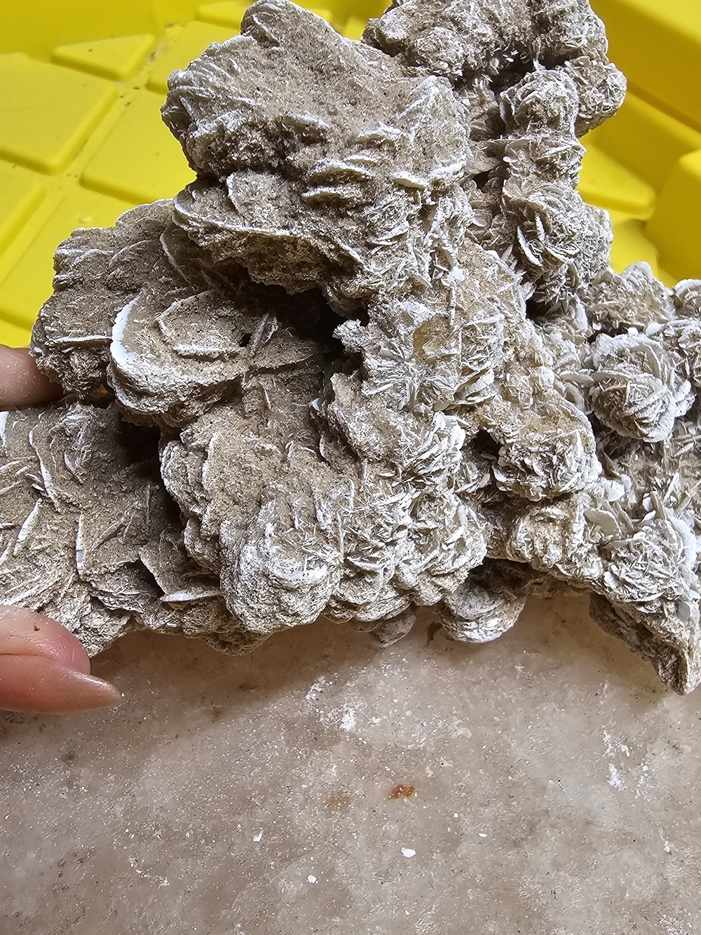 Desert Rose Selenite Crystal Cluster - Natural Beige and White Tones - Picture 3 of 3